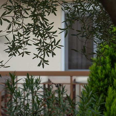Guesthouse Adonis Káto Loutrákion 外观 照片