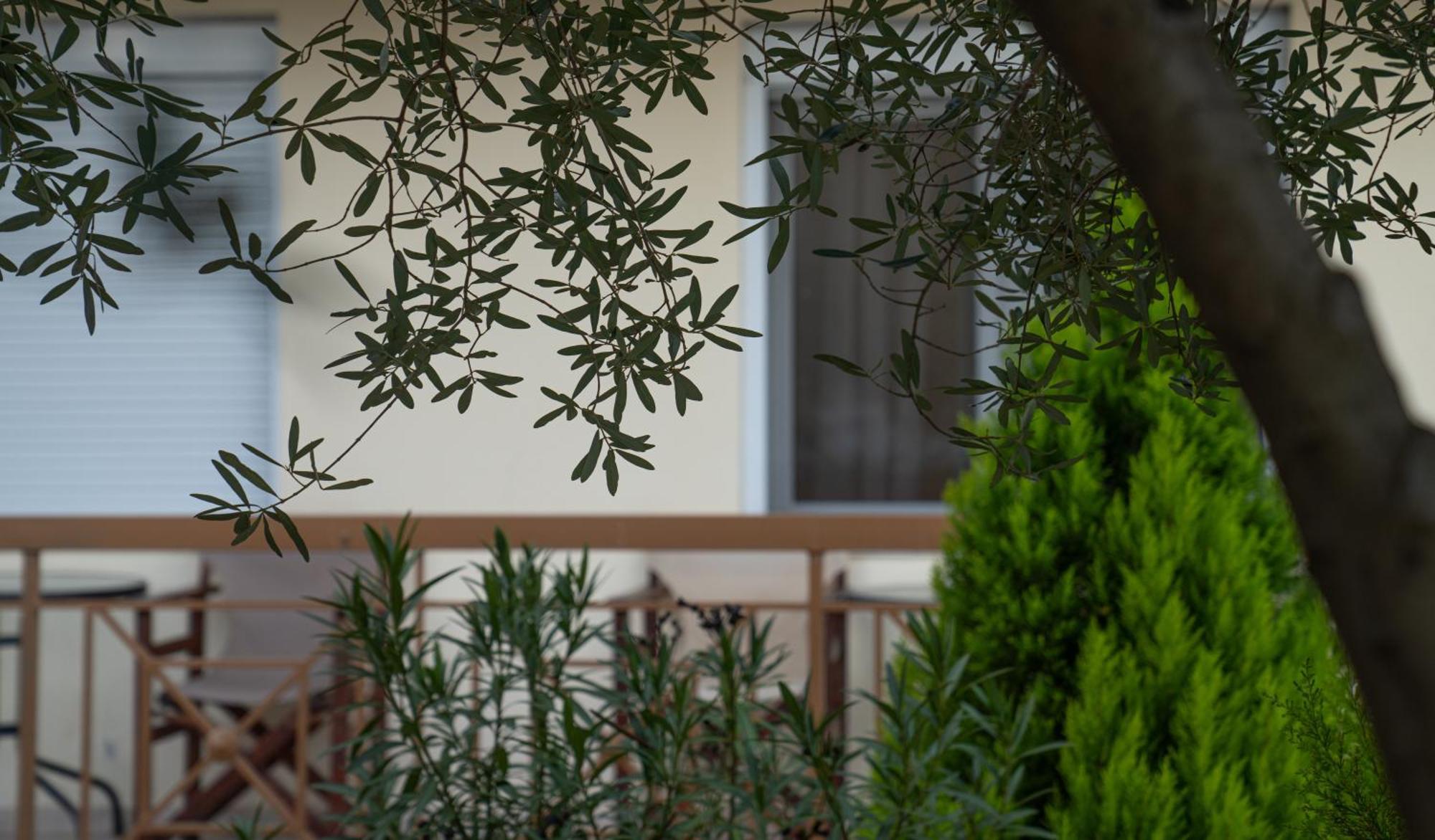 Guesthouse Adonis Káto Loutrákion 外观 照片