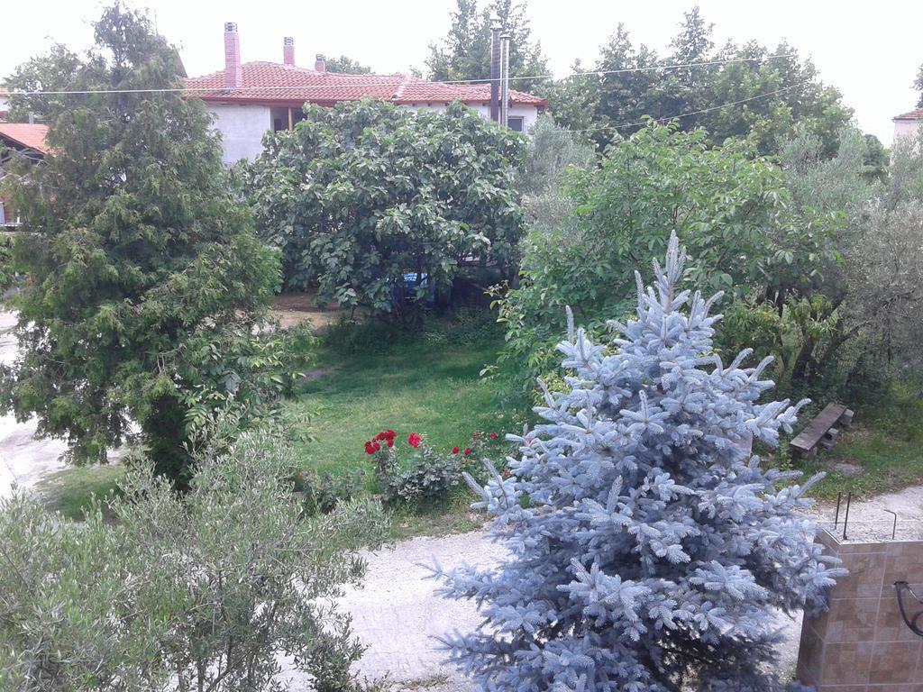 Guesthouse Adonis Káto Loutrákion 外观 照片